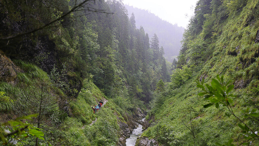 Rettungsaktion Weißbachschlucht