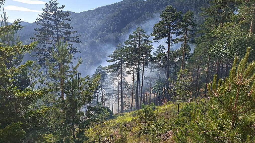 Waldbrand in der Rax