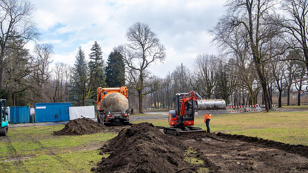 Baumverpflanzung im Volksgarten