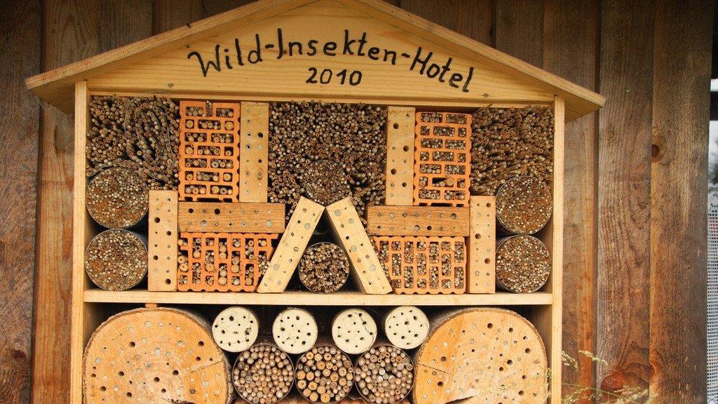 Spätsommer-Impressionen 1