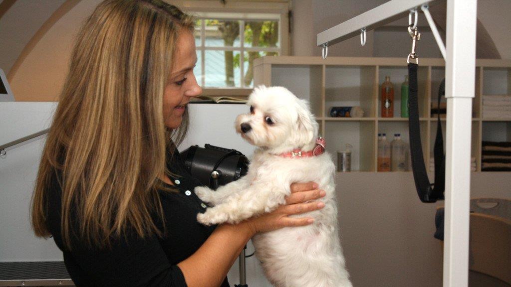 Die Hundefriseurin und ihr "Felldorado"