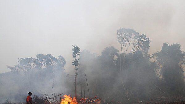 Ausgelöst wurde die Verschmutzung durch Waldbrände