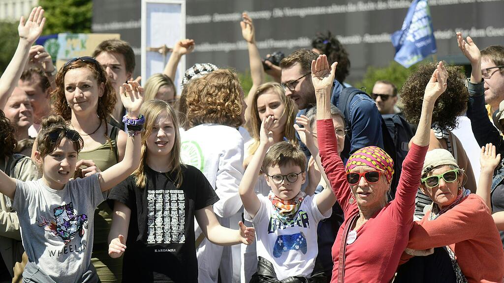 Demo, Fridaysforfuture, Wien