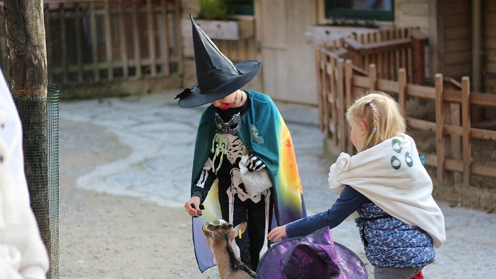 Halloween im Zoo
