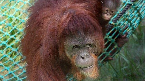 Die besten Tierbilder KW 30