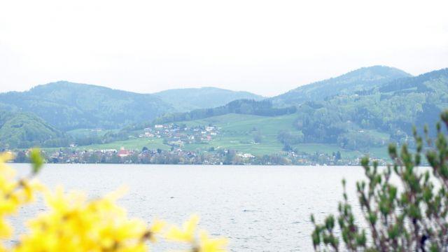 Frühling in Oberösterreich