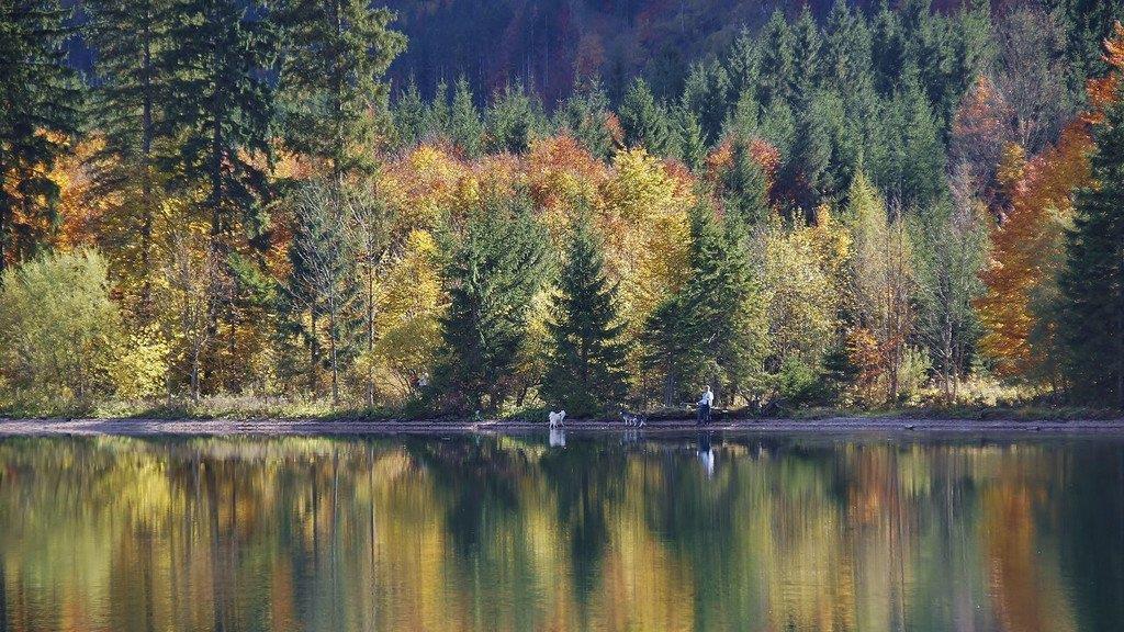 Herbstzeit am Offensee
