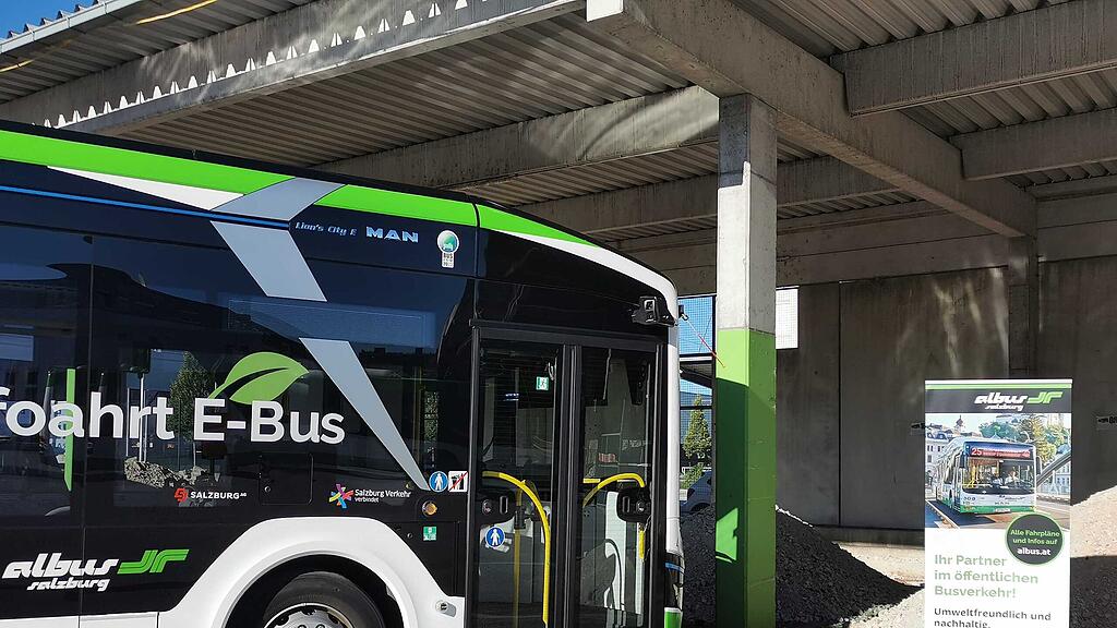 albus e-bus