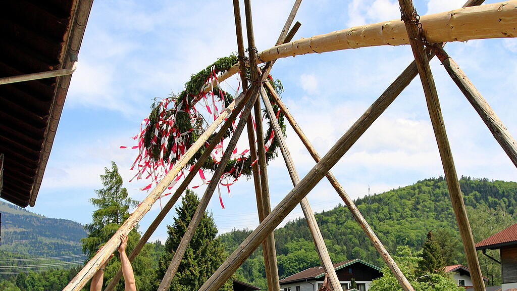 Bierfichte Aufstellen in Bad Vigaun