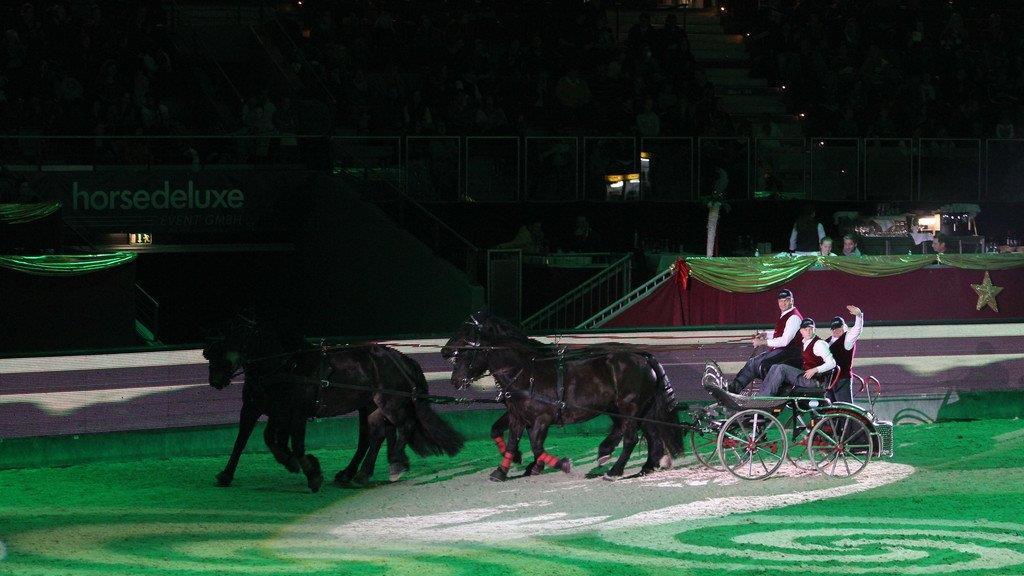 Mevisto Amadeus Horse Indoors 2014 in der Salzburgarena