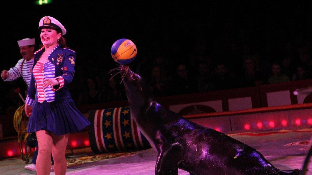 Circus Krone in Traunstein