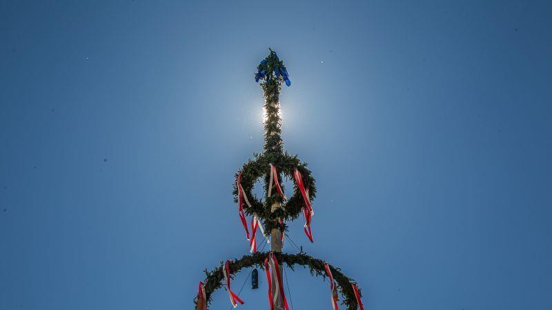 Maibaumaufstellen der FPÖ im Kuglhof