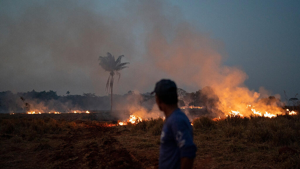 Waldbr\u00e4nde in Brasilien