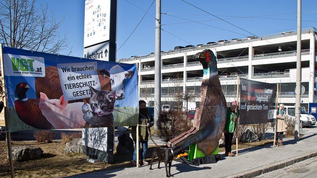 VGT-Protestaktion gegen "Hohe Jagd und Fischerei"