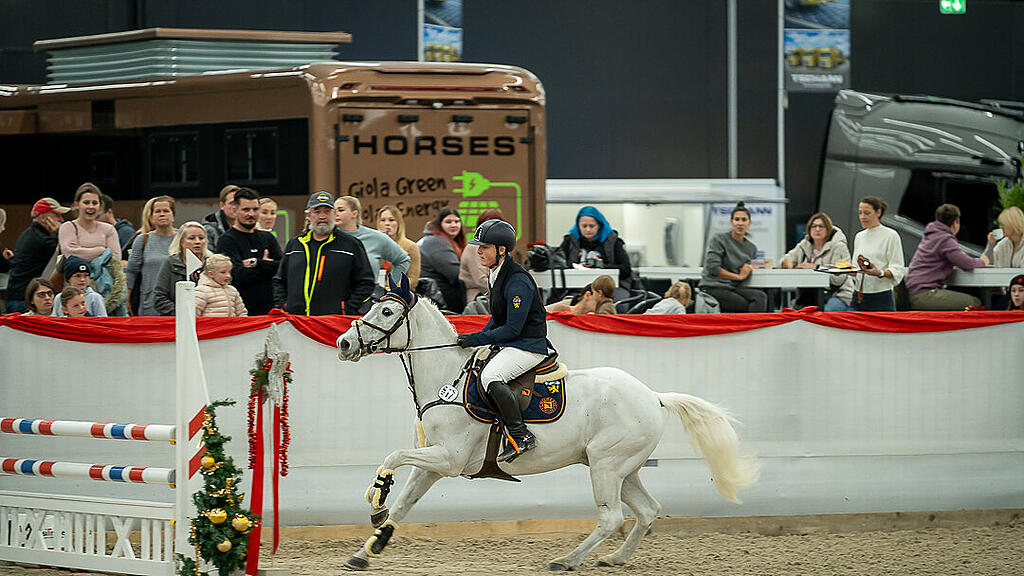 Amadeus Horse Indoors 2023