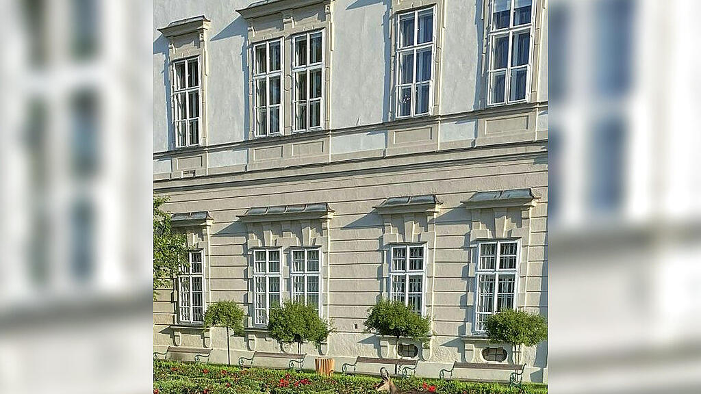 Gämse