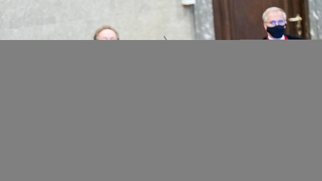 Strache-Prozess vor Abschluss