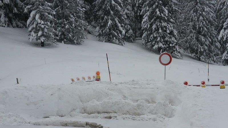 Schneefall am Roßfeld