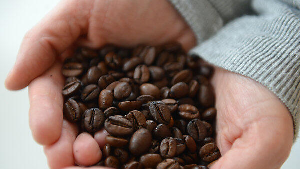 Kaffee ist den Österreichern heilig