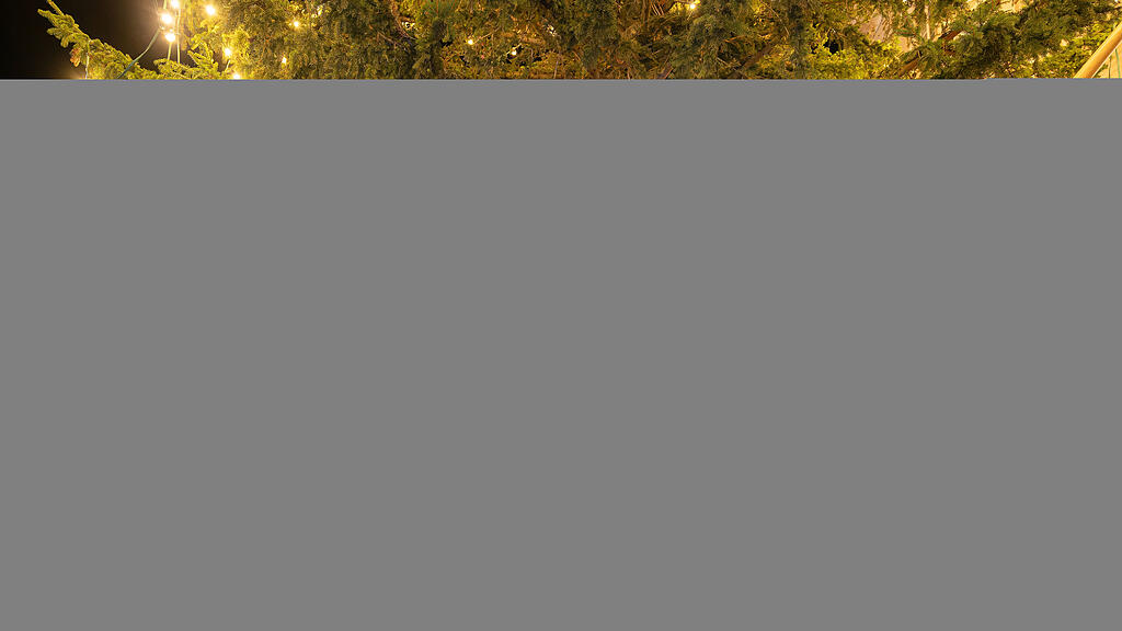 DSC06187-ARW_dxo.jpg