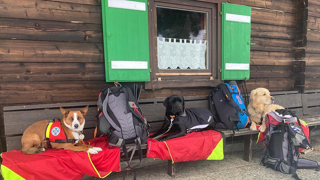 Hundepause.jpg