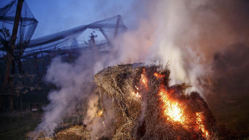 Bauern kämpfen gegen Frost
