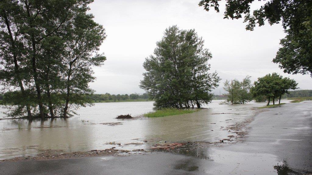Hochwasser in Wien (Copa Cagrana)