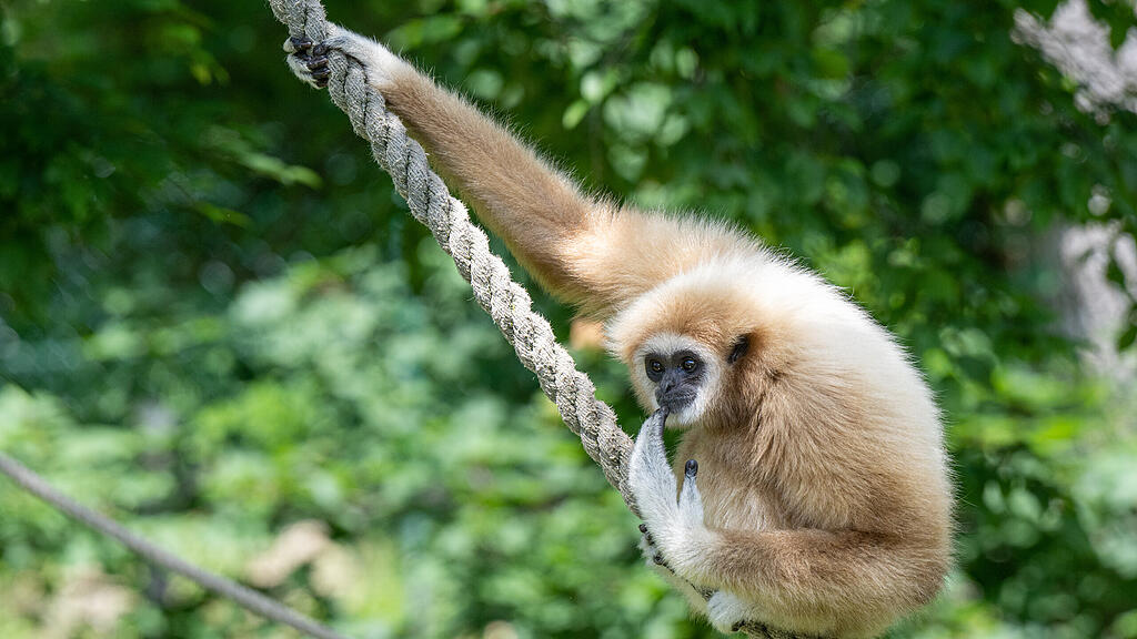 Zoo Salzburg