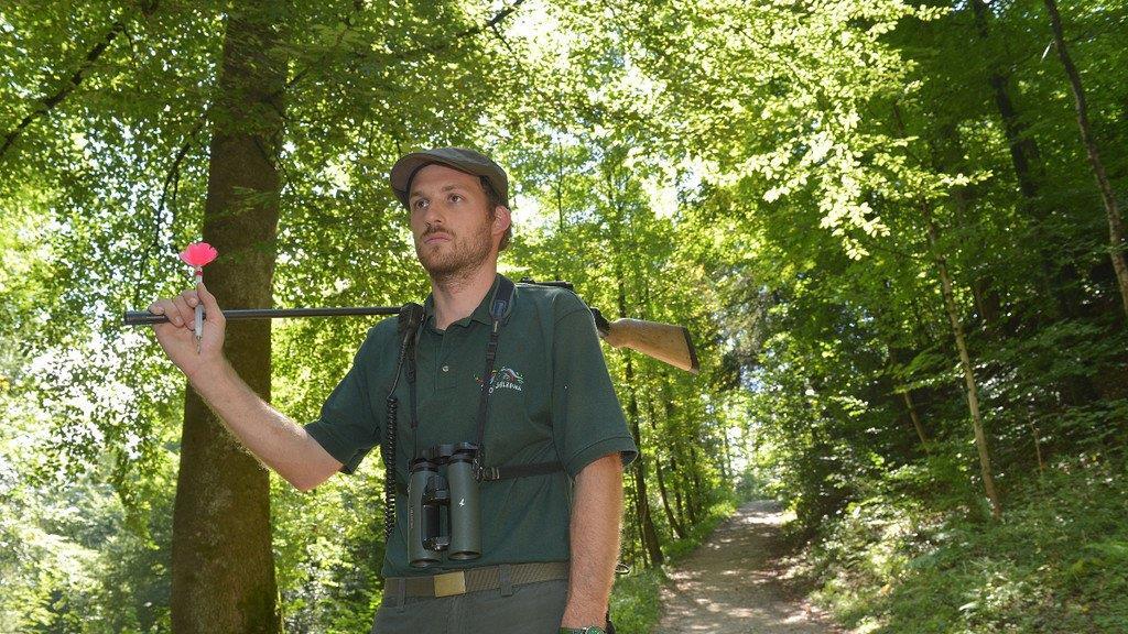 Suche nach Luchs geht weiter