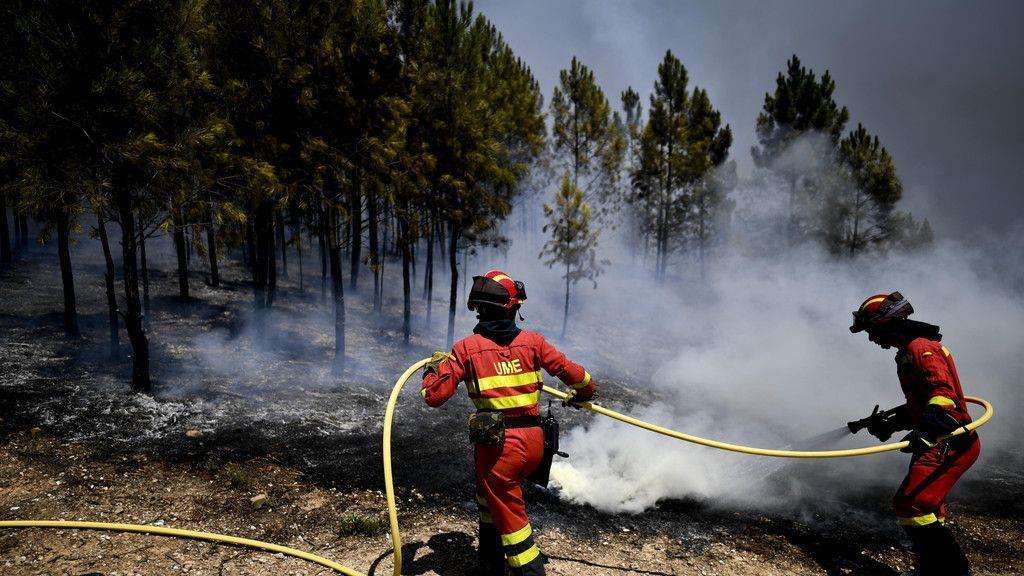Schwere Waldbrände in Portugal