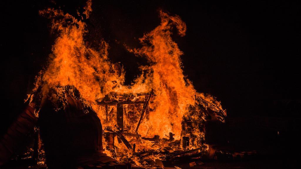Burning Animal II