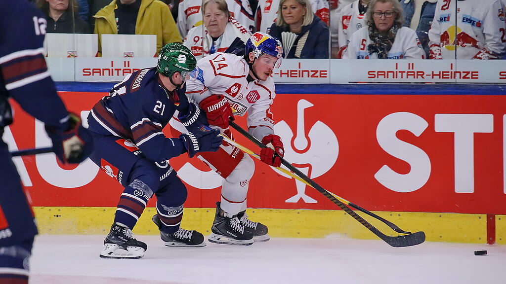 Eisbullen gegen Eisbären Berlin