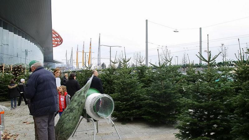 1.Einkaufssamstag im Europark