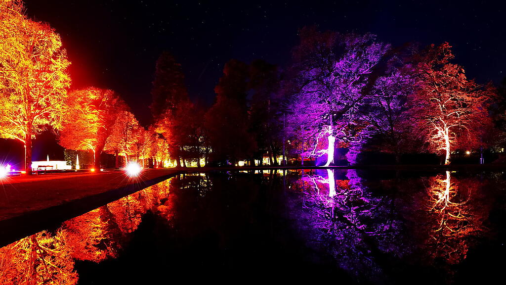 Hellbrunner Park Advent