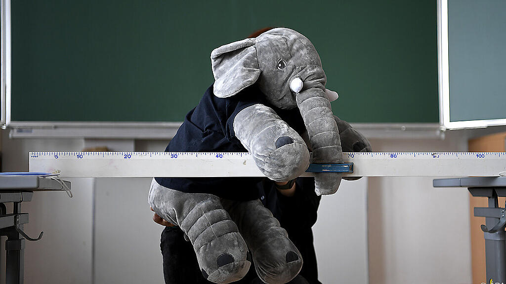Der Babyelefant ist allgegenwärtig