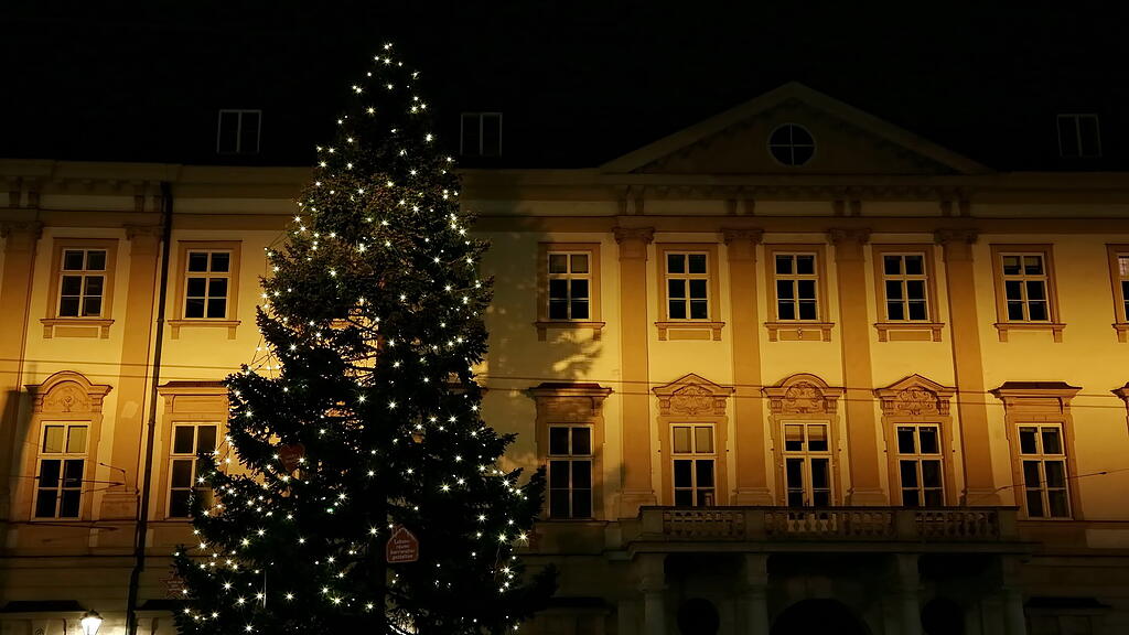 20201128_fmt_weinachtsbaum_KJ010.JPG