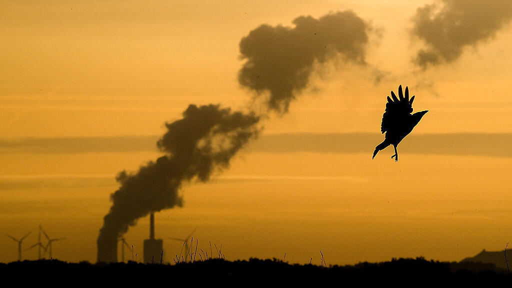 Der NEKP sollte der Kommission bis vor Jahresende übermittelt werden