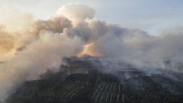 Behörden vermuten Brandstiftung als Ursache