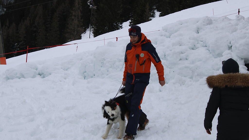Lawinenhunde Bergrettung Training