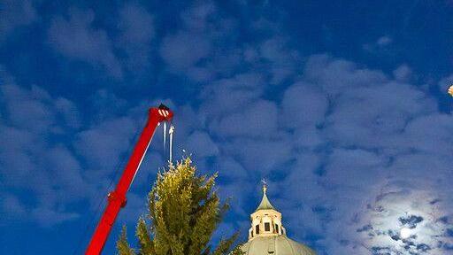 Christbaum ist angekommen