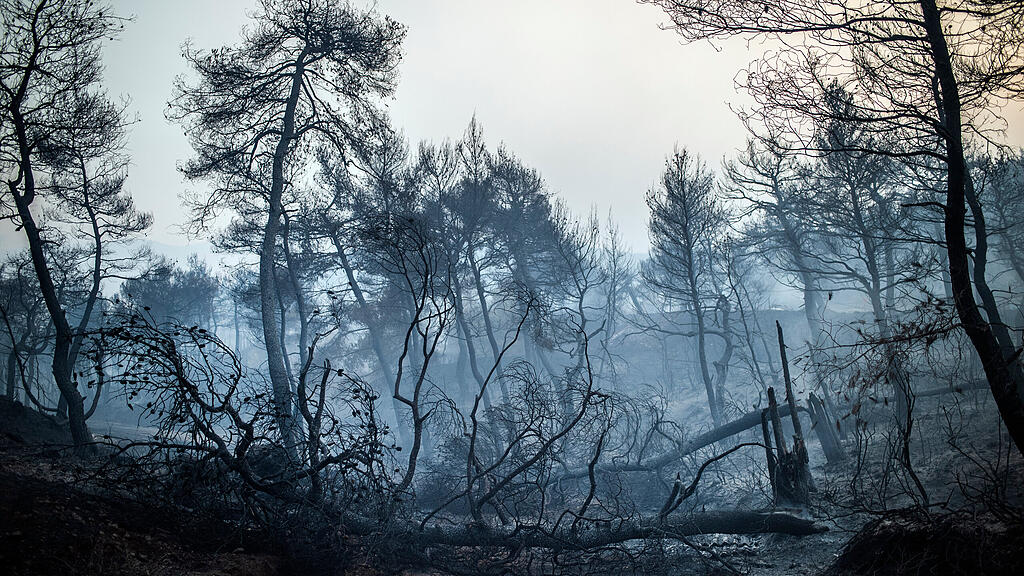 Feuer auf griechischer Insel