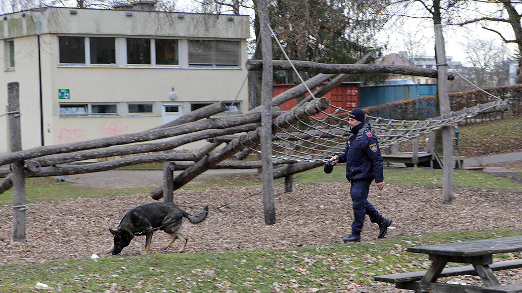 20240201fmt_Toter_lehenerpark_mw-13.jpg
