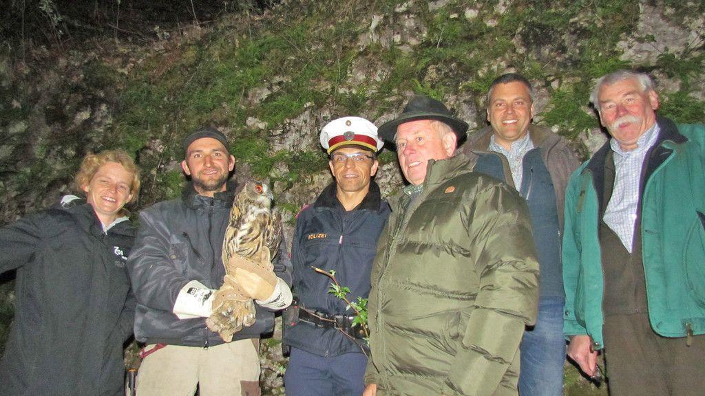 Uhu "Hugo" in Freiheit entlassen