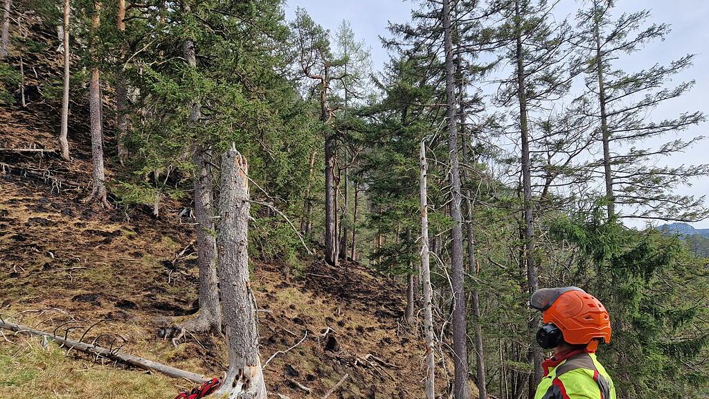 waldbrand liezen