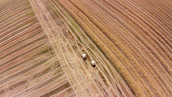 Kein Grund für Beschwerden: Ernte über Mittelwert