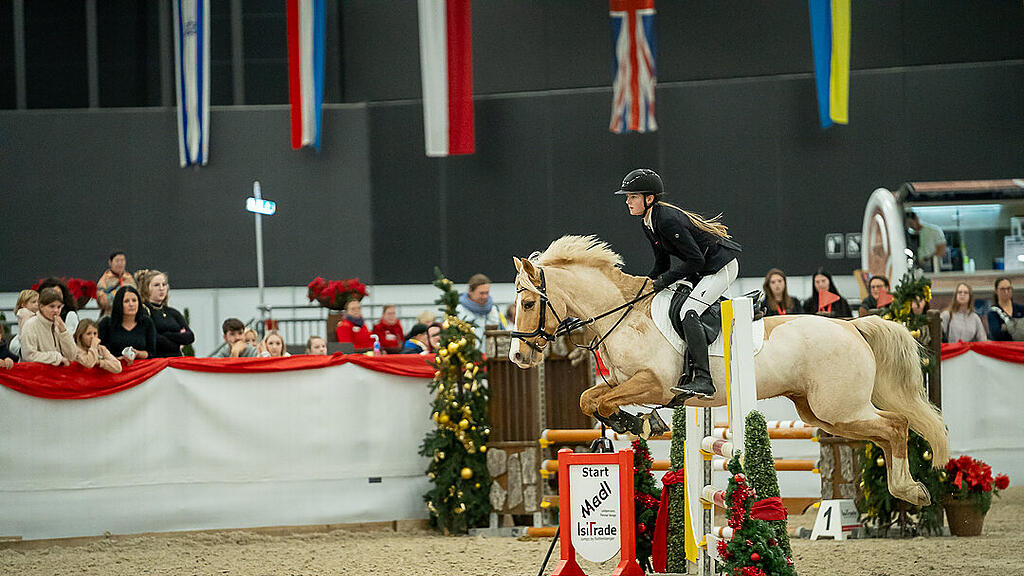 Amadeus Horse Indoors 2023