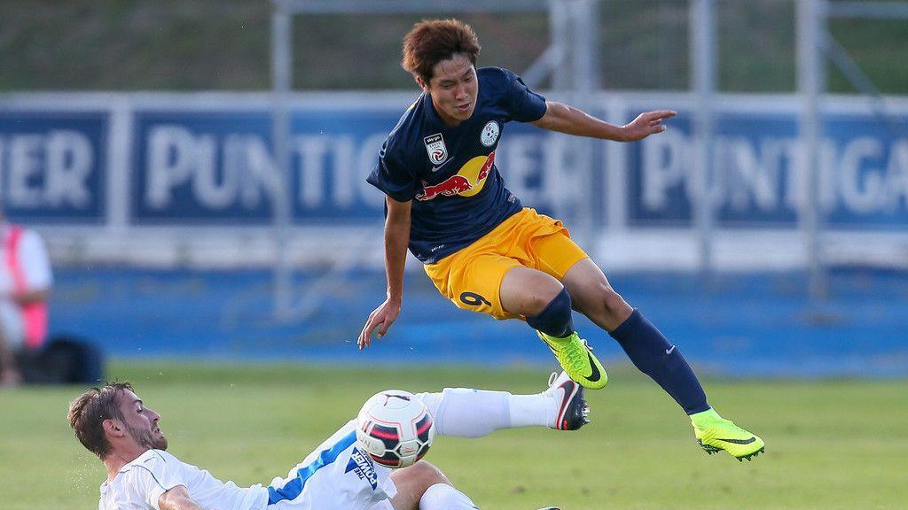 SC Wiener Neustadt - FC Liefering