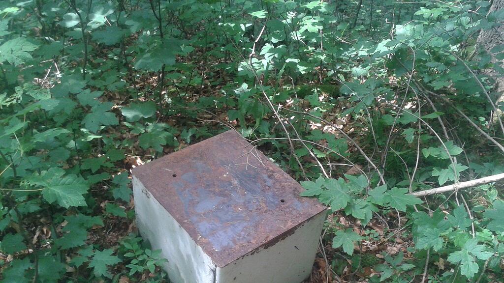 Der Tresor wurde in einem Waldstück zurückgelassen.