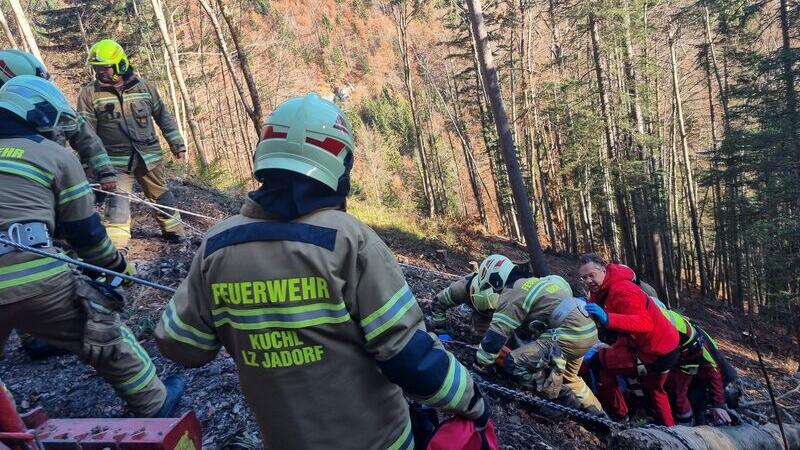 Forstunfall in Kuchl fordert Schwerverletzten