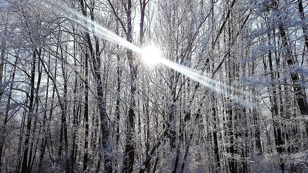 Nach Schnee gibt es bald ein bisschen Sonne.